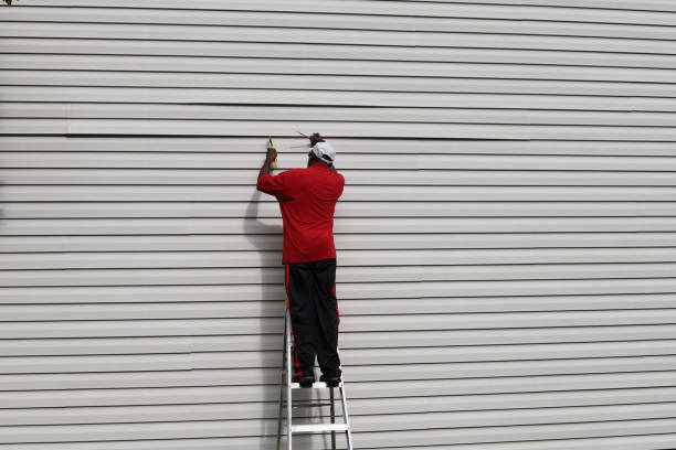 Best Custom Siding Design  in Wautoma, WI